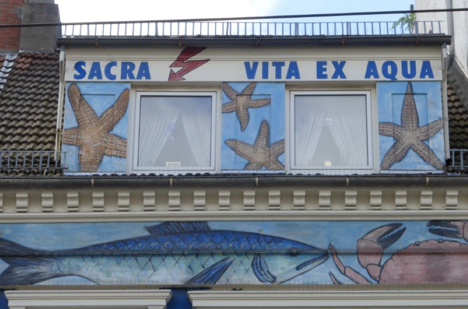 Der Schriftzug SACRA VITA EX AQUA findet sich als eine Art Werbeslogan über den Dachfenstern von Kählers Fischgeschäft im Steintor. Bremen History-Autor Peter Strotmann ist der Sache jetzt auf den Grund gegangen. Foto: Peter Strotmann