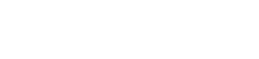 WK Geschichte Logo